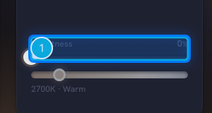 A pinned region on the frozen still: pin 1 on a dimmer that keeps its hue ring at zero.